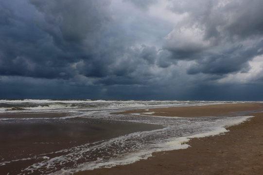 gallery/welmoed-van-der-meer-nebjtj3tzay-unsplash (1)