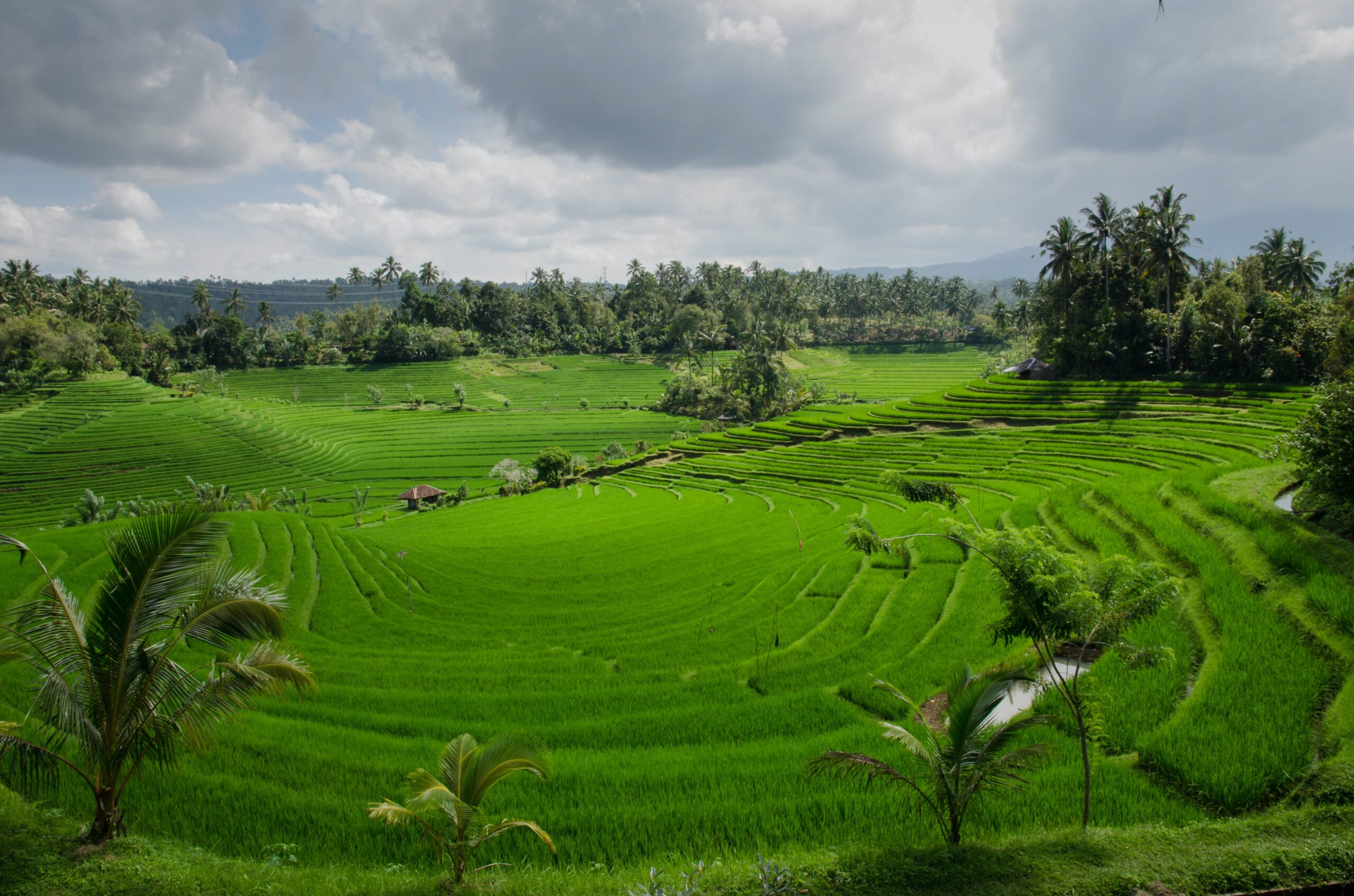 indonesia